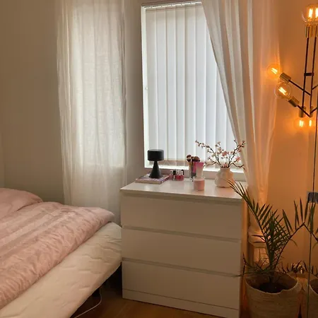 Flott Sentralt Kr 克里斯蒂安桑